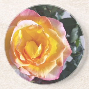 gelb und rosa getränkeuntersetzer