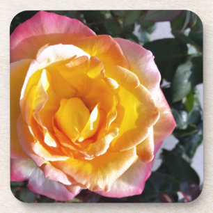 gelb und rosa untersetzer