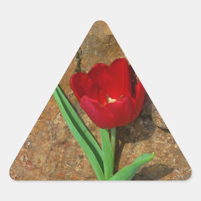 Gelb und Rot Dreieckiger Aufkleber (Vorderseite)