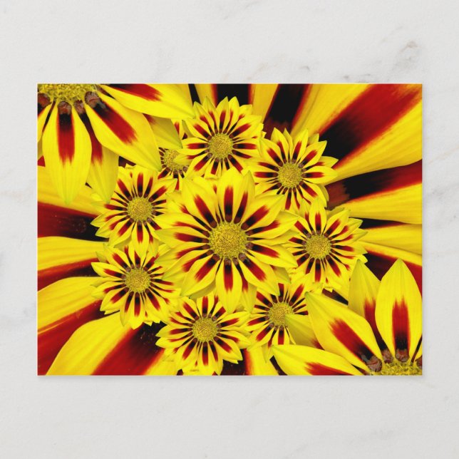 Gelb und rot gestreifte Gerbera Daisy Sonnenblume Postkarte (Vorderseite)