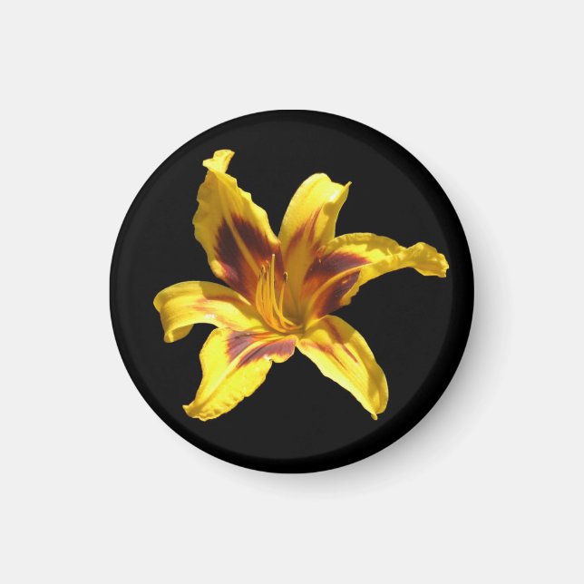 Gelb und Rot-Lily-Magnet Magnet (Vorne)
