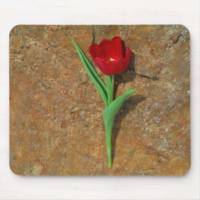 Gelb und Rot Mousepad (Vorne)