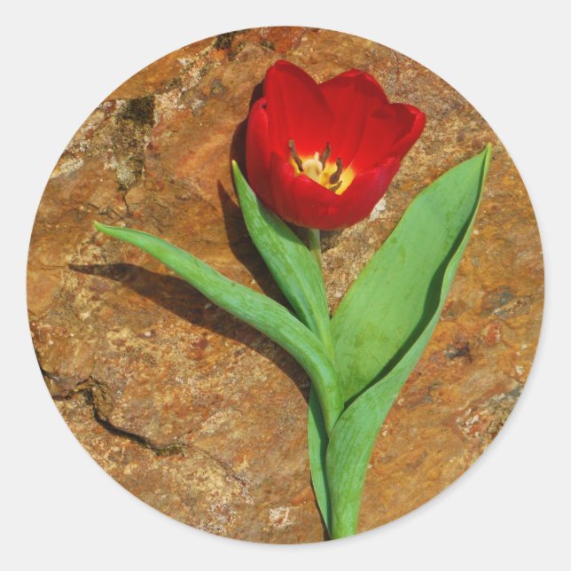 Gelb und Rot Runder Aufkleber (Vorderseite)
