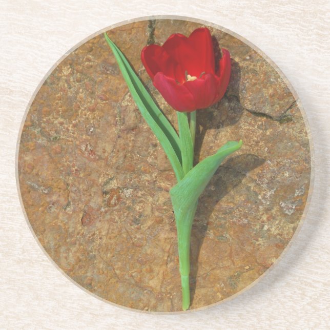 Gelb und Rot Sandstein Untersetzer (Vorne)