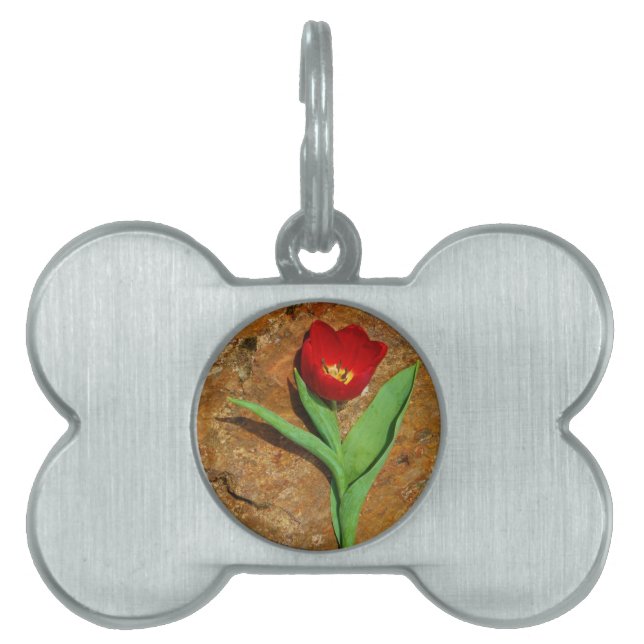 Gelb und Rot Tiermarke (Vorderseite)