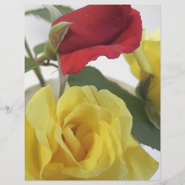 Gelb und Rote Rosen (Vorderseite)