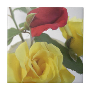 Gelb und Rote Rosen Fliese