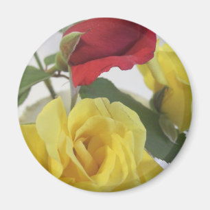 Gelb und Rote Rosen Magnet