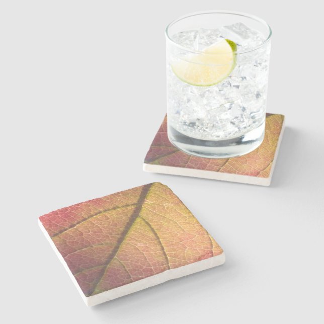 Gelb- und Rothalbstleaf Steinuntersetzer (Seitenansicht)