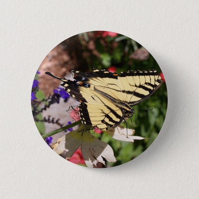 Gelb und Schwarz-Fantail-Schmetterling Button (Vorderseite)