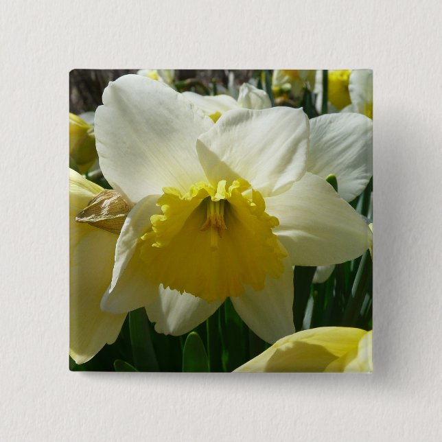 Gelb und Weiß Frühlingsblüte Button (Vorderseite)