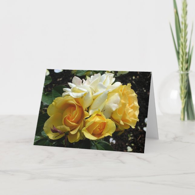 Gelb und Weiß Karte (Vorderseite)