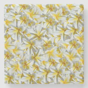Gelb- und Weißfrangipani-Cluster, Steinuntersetzer
