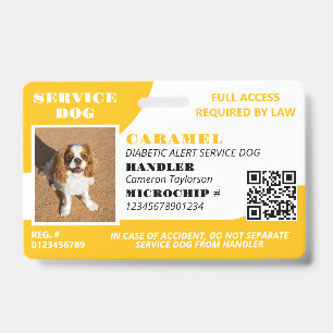 Gelb Weiße Diensthund-Foto-ID-QR-Code Ausweis