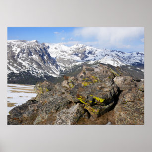 Gelbbäuchiges Murmeltier beim Blick auf die Rocky Poster