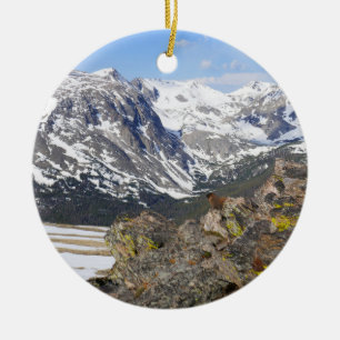 Gelbbaudiges Murmeltier beim Blick auf die Rocky M Keramik Ornament