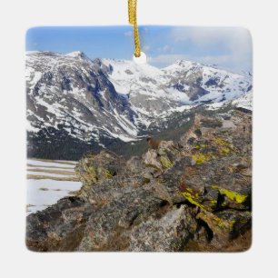 Gelbbaudiges Murmeltier beim Blick auf die Rocky M Keramikornament