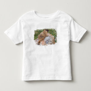 Gelbbaudmurmeltier, Marmota flaviventris, Kleinkind T-shirt