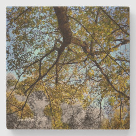 Gelbbaum im Herbst Steinuntersetzer