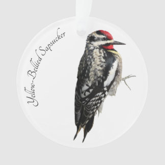 Gelbbbändiger Sapsucker Ornament