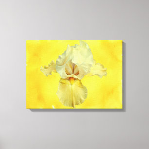 Gelbbbart-Iris-Blossom Leinwanddruck