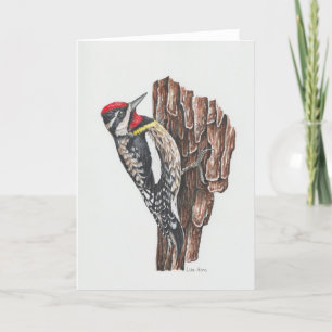 Gelbbbauchige Sapsucker Art Card Dankeskarte