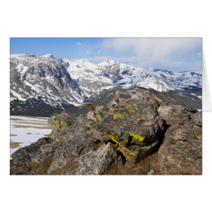 Gelbbbellische Marmot-Gazing in den Rocky Mountain