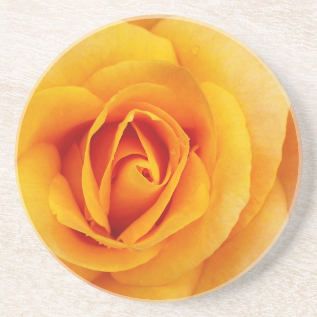 Gelbblüte Getränkeuntersetzer (Vorne)