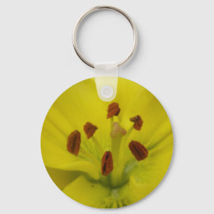 Gelbblütenblume Schlüsselanhänger
