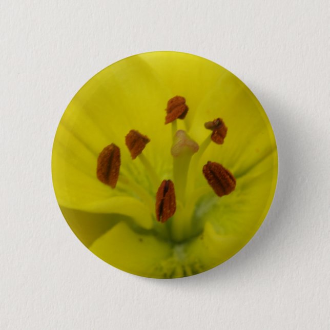 Gelbblütenknopf Button (Vorderseite)
