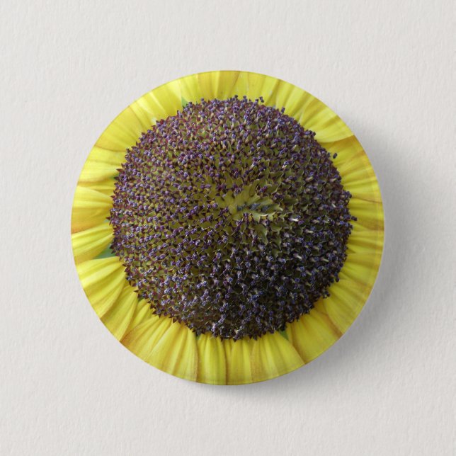 Gelbblütenknopf Button (Vorderseite)