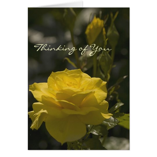 Gelbe Abends-Rose, denkend an Sie Karte