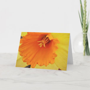 Gelbe affodische Blume Nah nach oben Karte