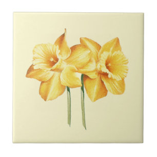 Gelbe affodische Keramik Tile Fliese