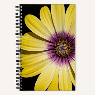 Gelbe afrikanische Gänseblume auf schwarzer Blumen Notizbuch