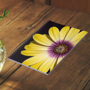 Gelbe Afrikanische Margerite auf schwarzem Blumenm Notizblock