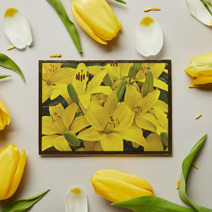 Gelbe Asiatische Lilien Blumenfotografie Poster