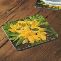 Gelbe Azalea Blüten Blumengetränke Coaster