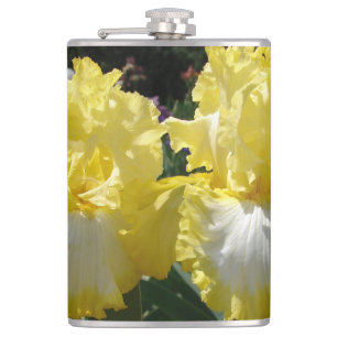 Gelbe Bartete Iris Iris Blume Flachmann