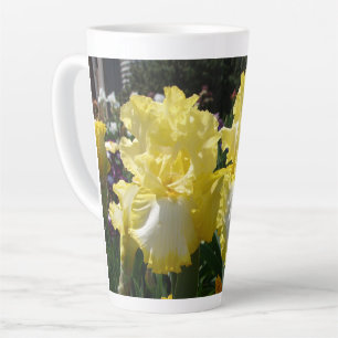 Gelbe Bartete Iris Iris Blume Milchtasse