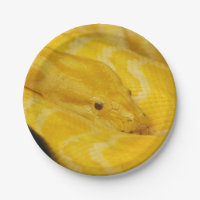 Gelbe birmanische Pythonschlange