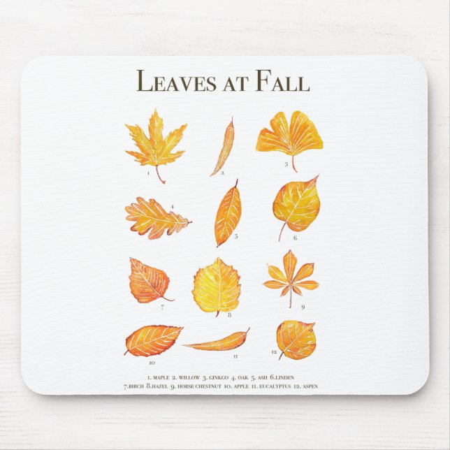 Gelbe Blätter bei Herbstsammlung Mousepad (Vorne)