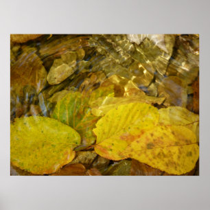 Gelbe Blätter in Stream Poster