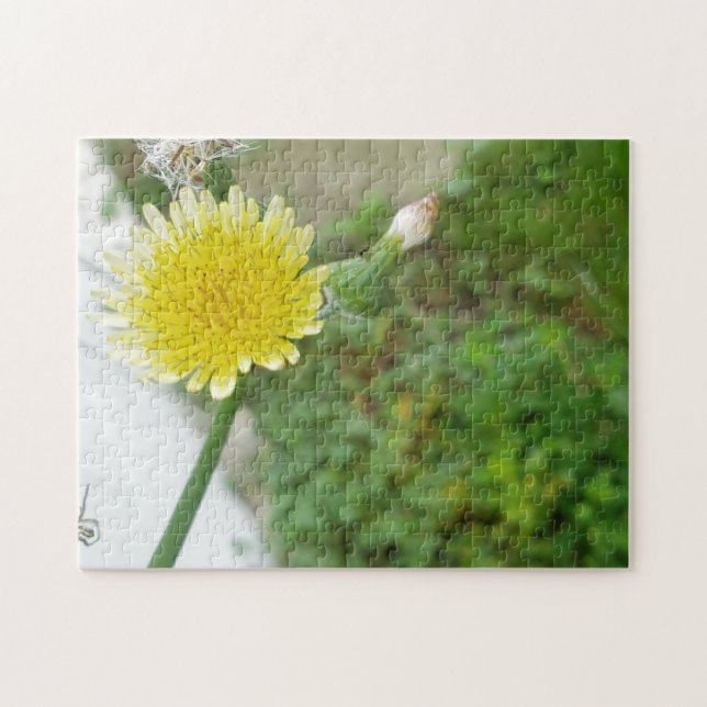 Gelbe Blume (Horizontal)