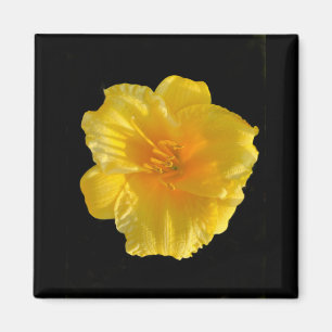 Gelbe Blume 2 Zoll Square Magnet