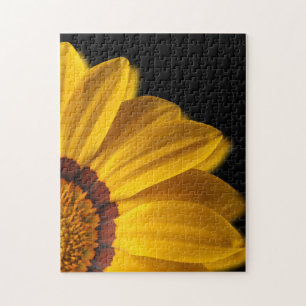 Gelbe Blume auf schwarzem Hintergrund