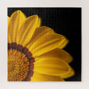 Gelbe Blume auf schwarzem Hintergrund