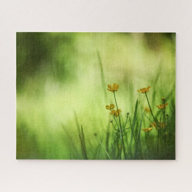 Gelbe Blume Buttercup Nature Foto (Horizontal)