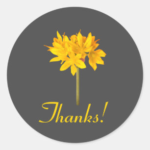 Gelbe Blume Danke Runder Aufkleber