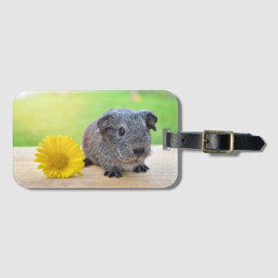 Gelbe Blume des Meerschweinchens Gepäckanhänger